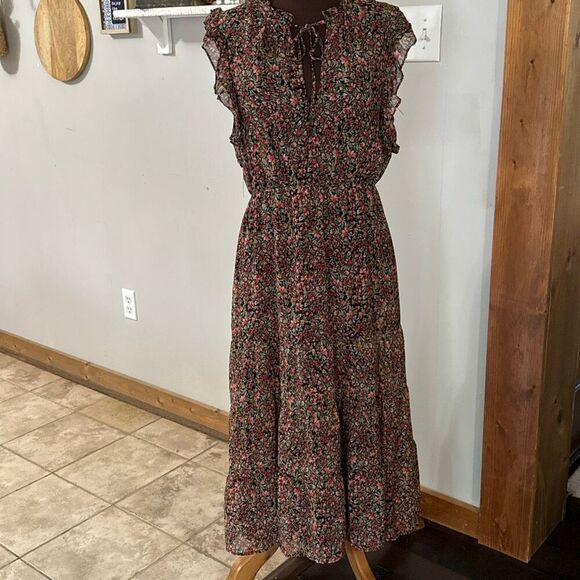 BB Dakota Dresses & Skirts - BB Dakota Steve Madden floral maxi dress size large black sheer dark romantic wh